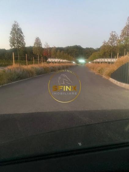 Teren Construcții intravilan de 10000 mp, în Ciolpani