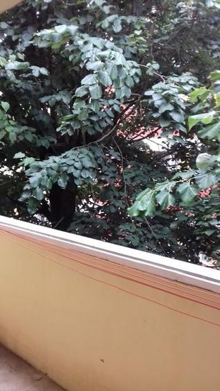 Apartament cu 3 camere decomandat, mobilat în Complex Studențesc