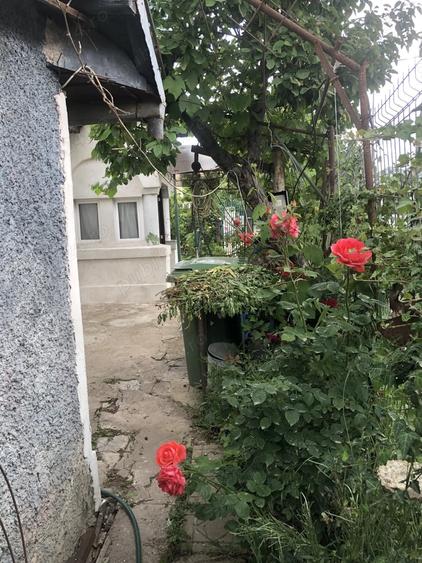 Teren intravilan cu casa batraneasca in Caldararu Ilfov - 11