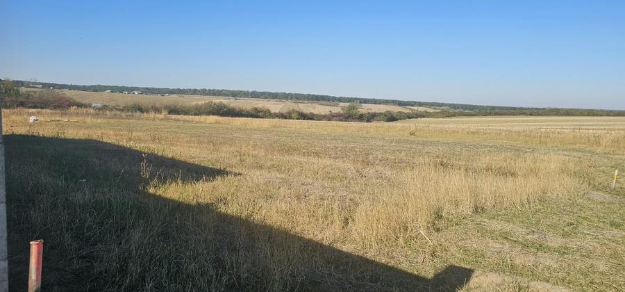 Teren Construcții de 1600 mp, în Cordău