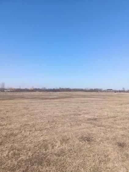 Teren agricol extravilan de 10000 mp, în Golăiești