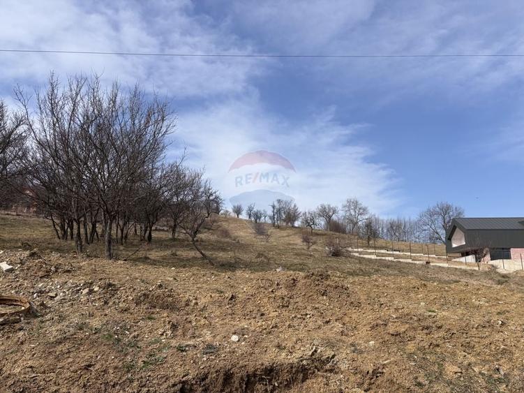 Teren Construcții intravilan de 1697 mp, în Cisnădioara