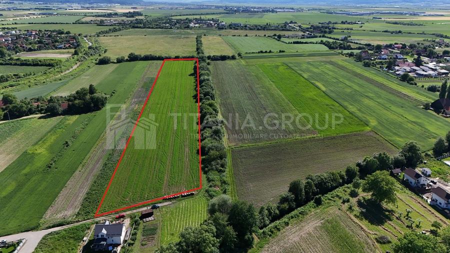 Teren Construcții intravilan de 33737 mp, în Stupini