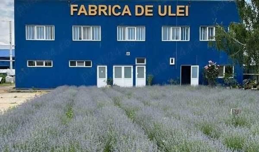 Spațiu comercial, de 5,000 mp, în Exterior Vest