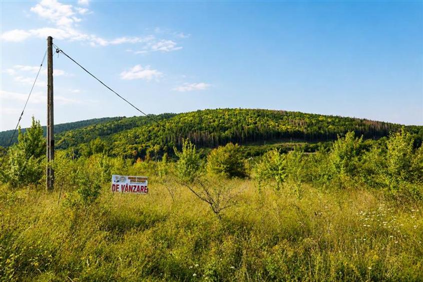 Teren Construcții intravilan de 450 mp, în Moacșa