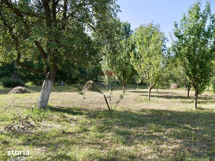 Casă cu 2 camere cu Teren 3003 Mp în Vințu de Jos
