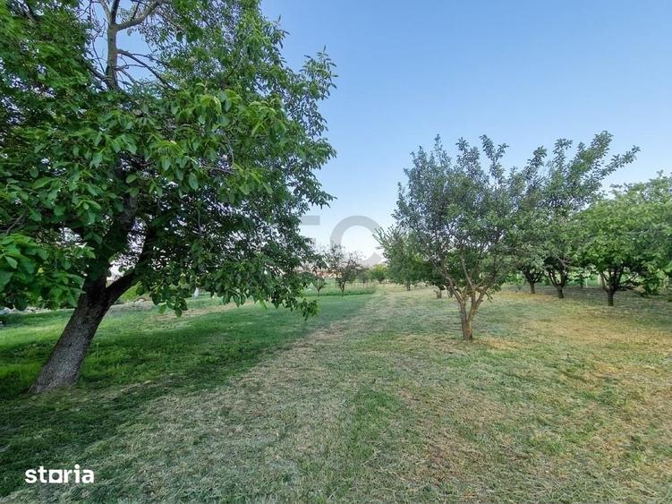 Casă cu 4 camere cu Teren 2700 Mp în Girișu de Criș