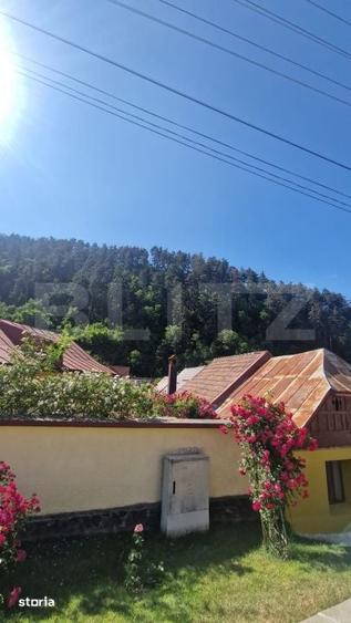 Casă cu 2 camere cu Teren 100 Mp în Schei