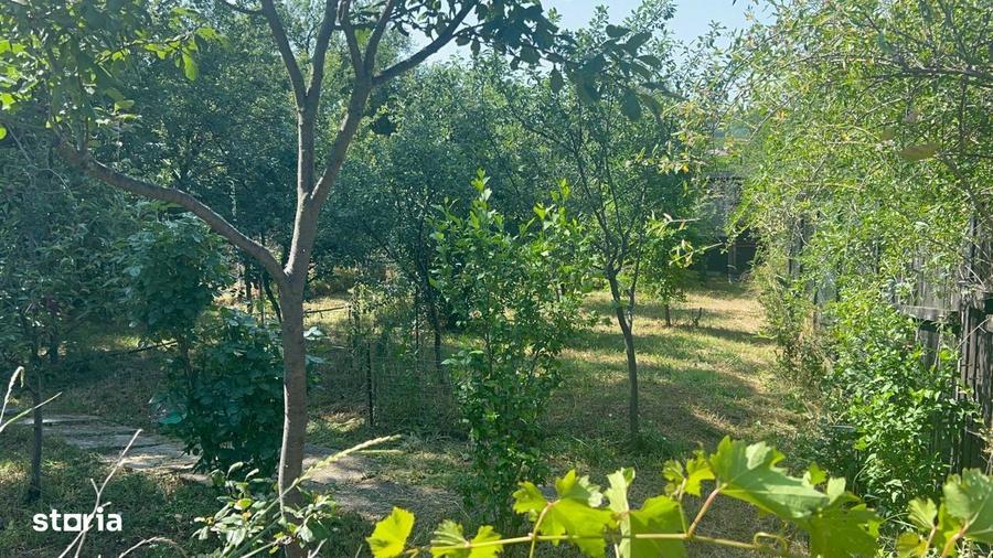 Casă cu 3 camere în Crevedia Mică