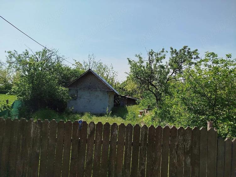 Casa buna si teren Malu Rosu Arma?e?ti jud. Ialomi?a - 4