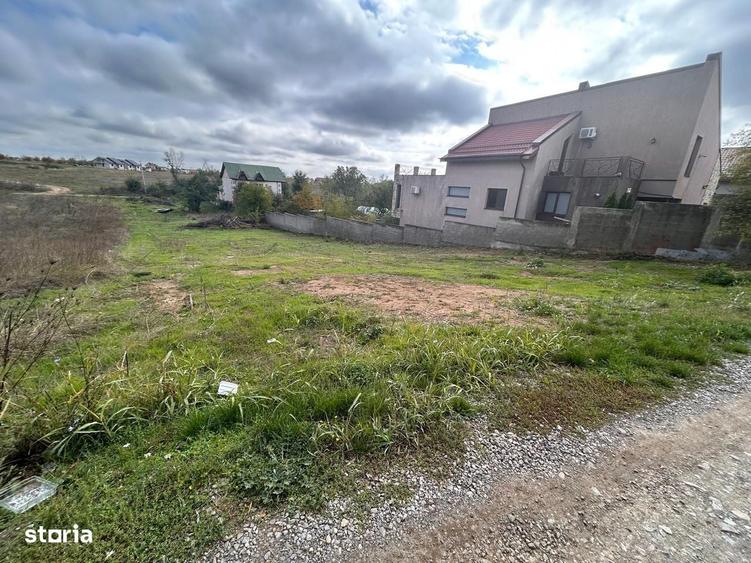 Spațiu comercial, în Pasărea