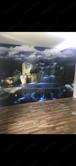 Casă cu 4 camere cu Teren 2500 Mp în Păltiniș