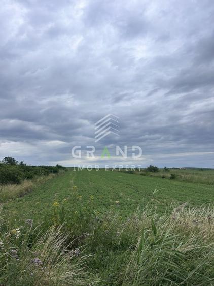 Teren intravilan 5.700 mp | Copaceni, Cluj | DN1 | - 1