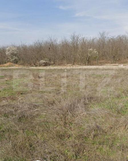 Teren intravilan, 1293 mp, zona Damila - 1