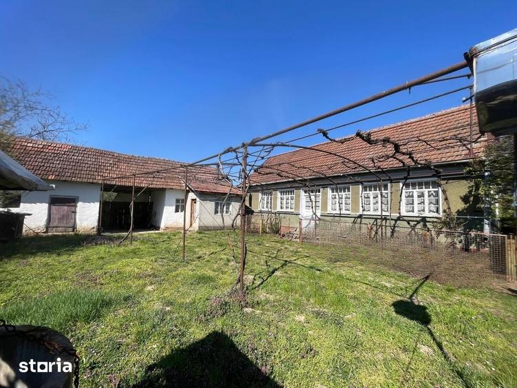 Casa tradi?ionala la sat +teren 1.500 mp. Sat Sabolciu-46.500euro neg - 4