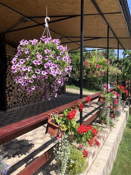 Casă cu 4 camere în Crișeni