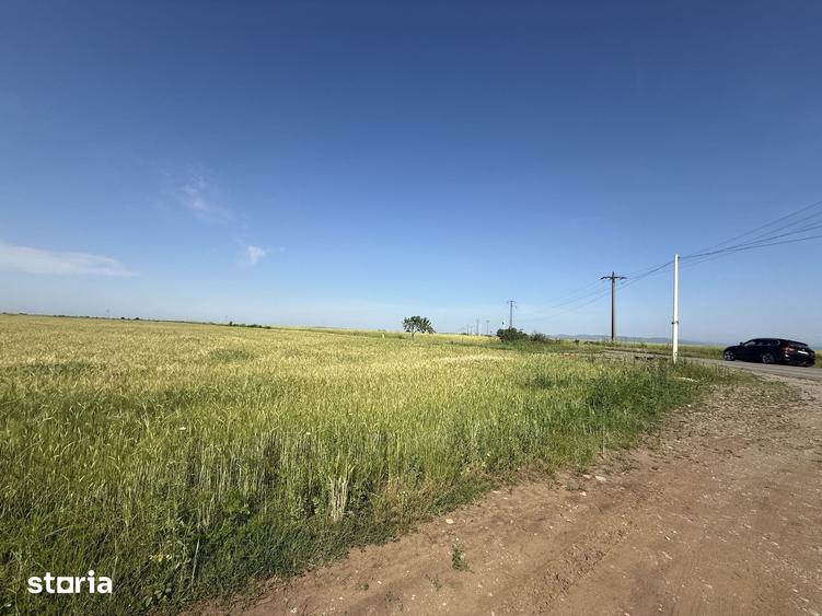 Teren de 10 mp, în Ariceștii Rahtivani