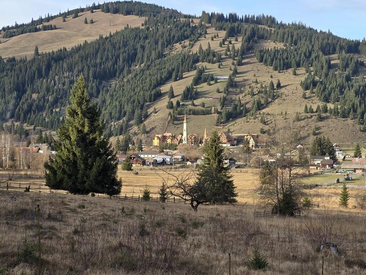 Spațiu comercial, în Ortoaia