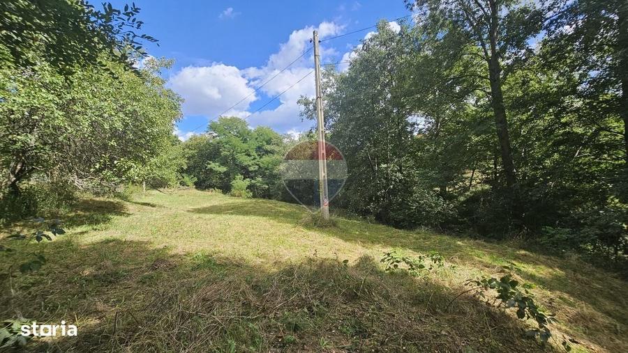 Teren intravilan | 1720mp | Drum asfaltat | Utilitati | Sohodol | Bran - 6
