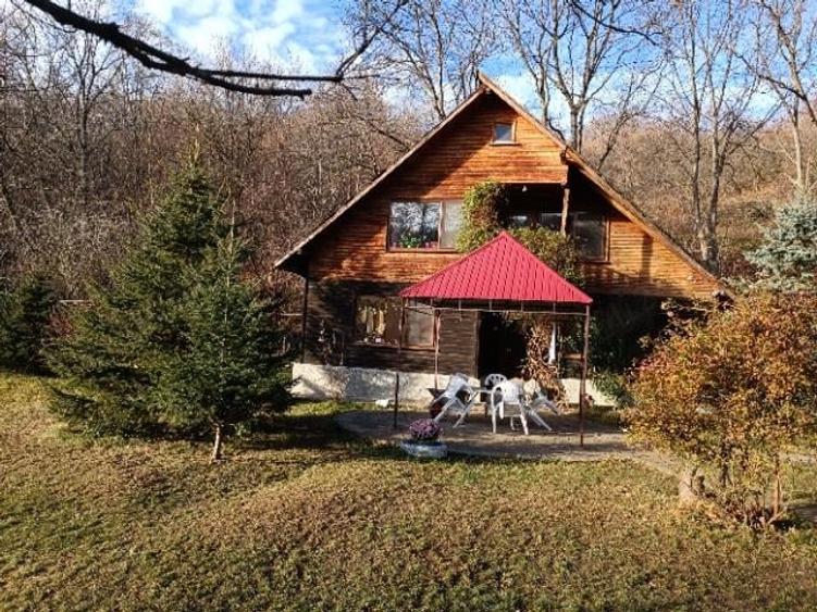 Casă cu 6 camere cu Teren 6500 Mp în Izvoarele