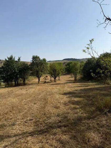 Teren de vanzare Sat Corusu, comuna Baciu 3484mp - 13