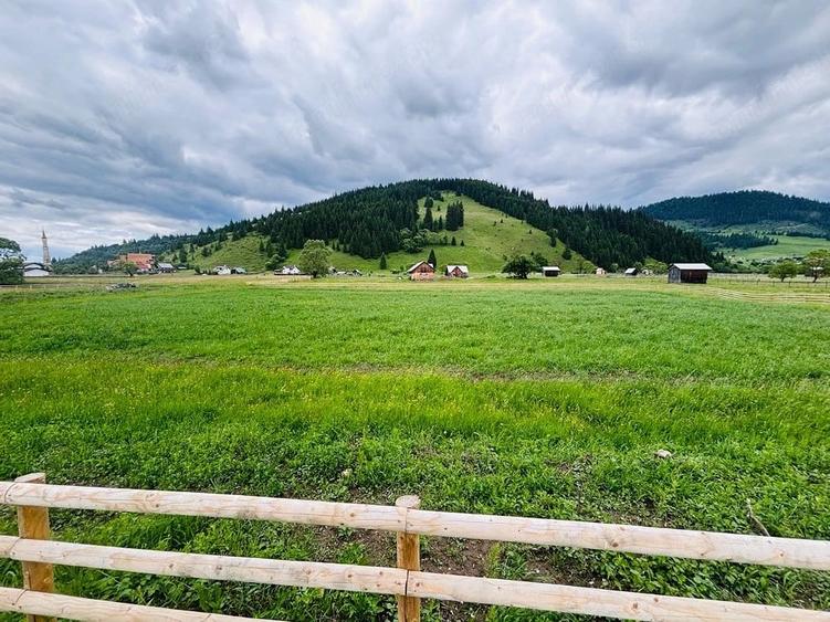 Teren de 5000 mp, în Dorna-Arini