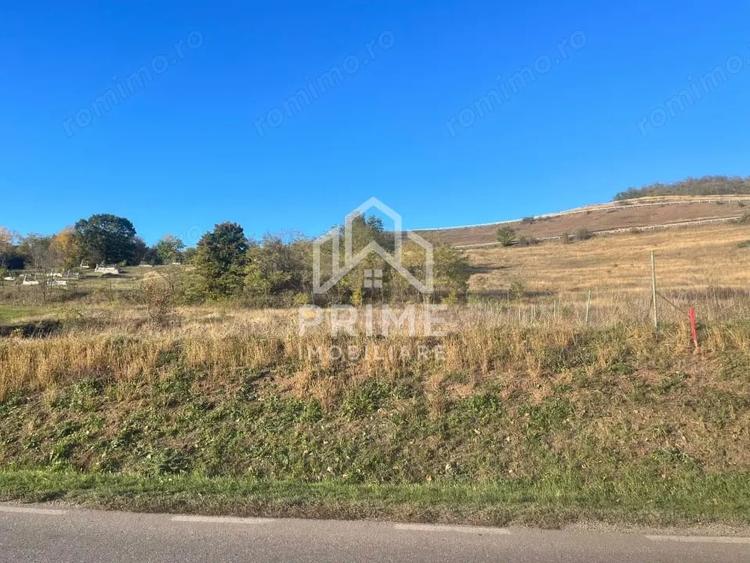 Teren de 700 mp, în Hăpria