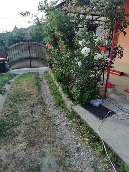 Casă cu 5 camere cu Teren 1400 Mp în Bonț