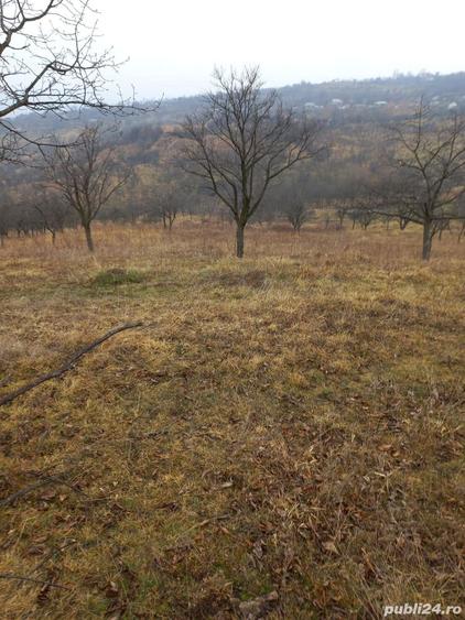 Casă în Dumitrești