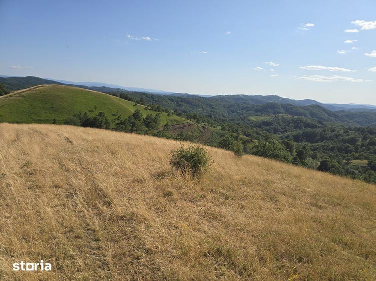 Teren de 150000 mp, în Cerbăl