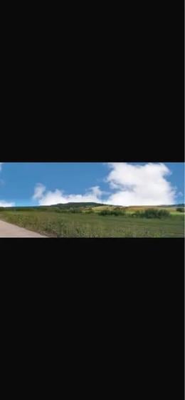 Teren de 28000 mp, în Șoarș