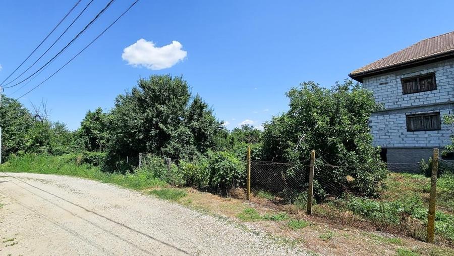 Bolintin Vale, Curte 3200 mp intravilan, intre case - 3