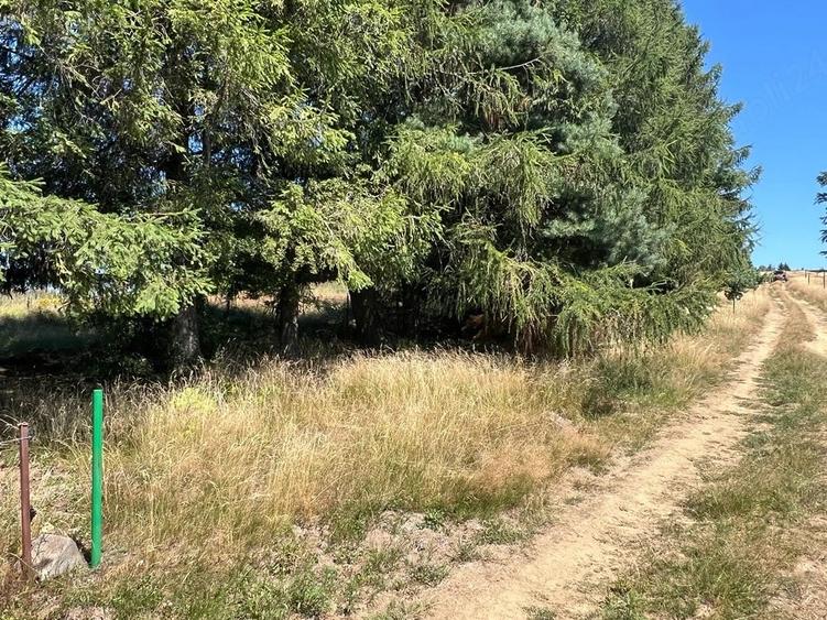 Teren de 4290 mp, în Gărâna
