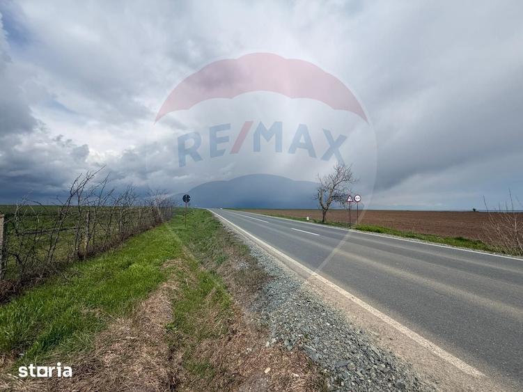 Teren de 60000 mp, în Săcele