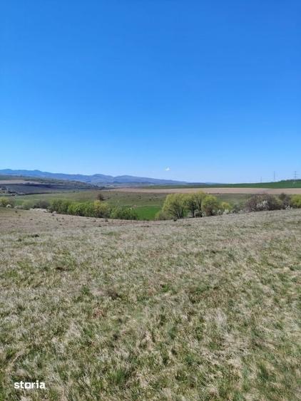 Teren de 10000 mp, în Ciurila