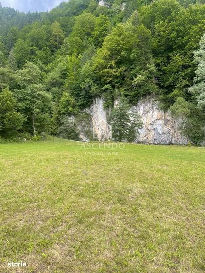 Teren Investitie Turistica Dambovicioara Baranga | 4.500 mp - 9