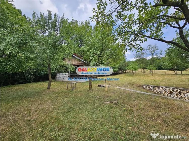 Teren de 2700 mp, în Curtea de Argeș