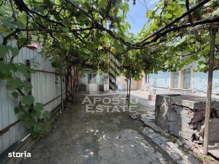 Casa de vanzare, teren 225 mp, zona Fratelia, Bujorilor, Timisoara - 9