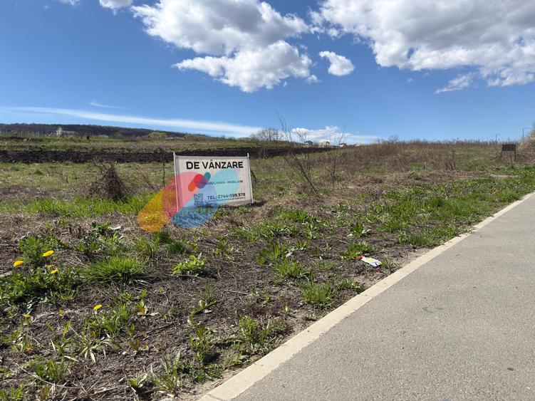 Teren Construcții extravilan de 2900 mp, în Iris