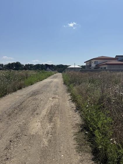 Spațiu comercial, în Petrești