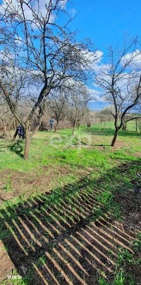 Casă cu 2 camere cu Teren 1274 Mp în Buzoești