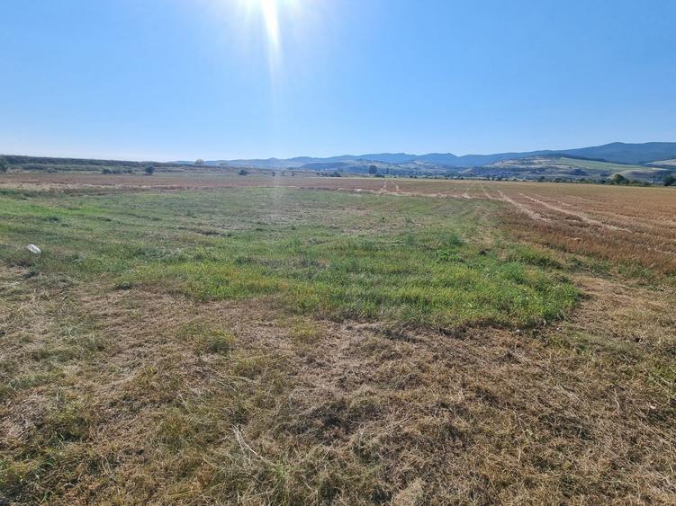 Teren Construcții de 780 mp, în Partoș