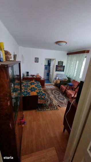 Casa modernizata, baie, centrala, 5593mp teren - Merei Ograzi - 11