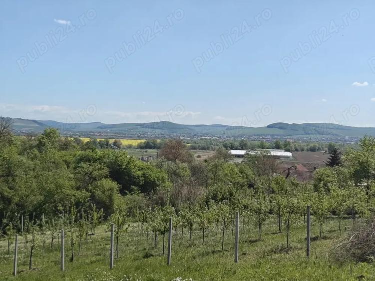 Teren intravilan 1400 m2 in Curteni, Santana de Mure? - la doar 10 minute de centrul Targu Mures - 2