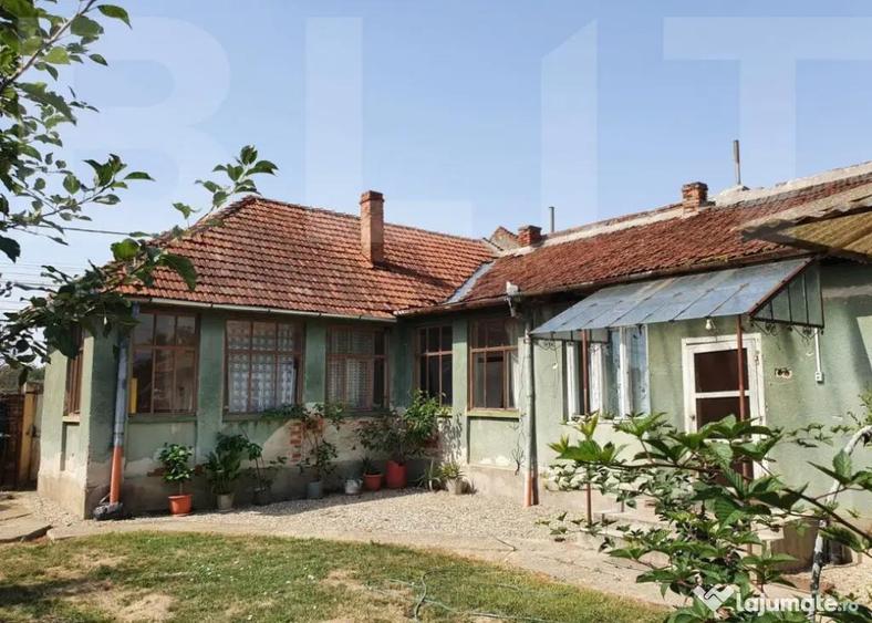 DE VANZARE Casa cu gradina mare in Lugoj - 4