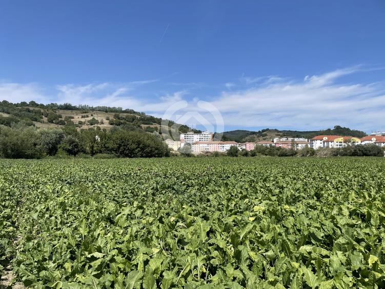 Teren agricol intravilan de 13700 mp, în Mediaș