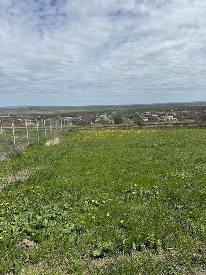 Teren de 1000 mp, în Bosanci