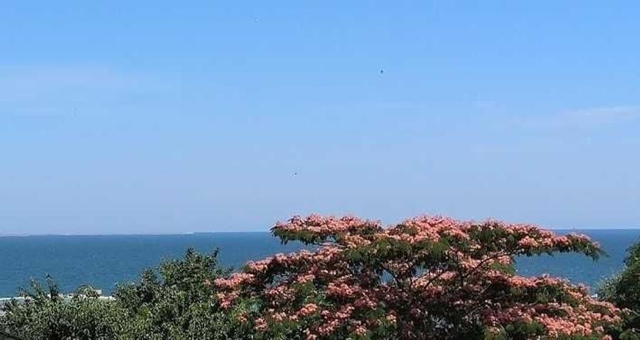 Apartament cu 2 camere în Sud