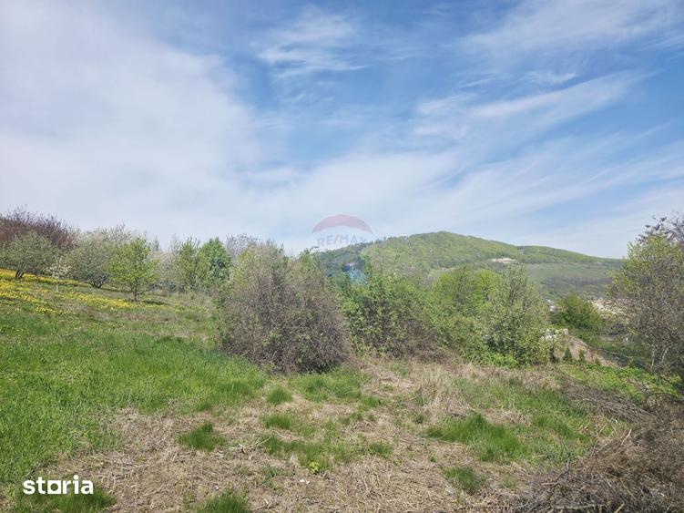 Teren 1,000mp Piatra-Neamt / Zona Fermelor - 6