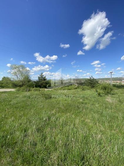 Teren Construcții intravilan de 12631 mp, în Șelimbăr